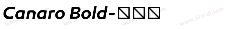 Canaro Bold字体转换
